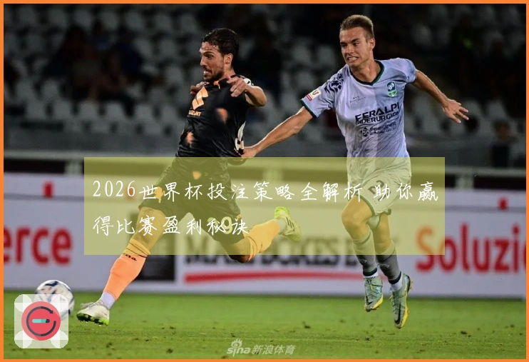 2026世界杯投注策略全解析 助你赢得比赛盈利秘诀