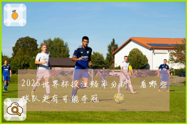 2026世界杯投注赔率分析：看哪些球队更有可能夺冠