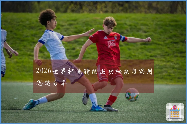 2026世界杯竞猜的成功秘诀与实用思路分享