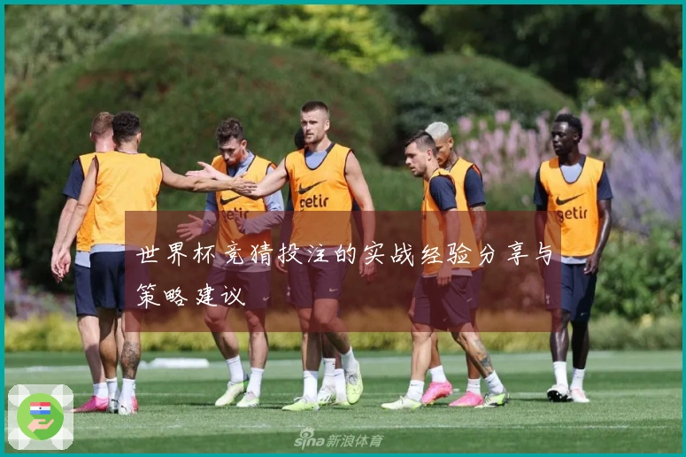 世界杯竞猜投注的实战经验分享与策略建议
