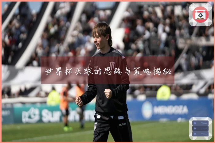 世界杯买球的思路与策略揭秘