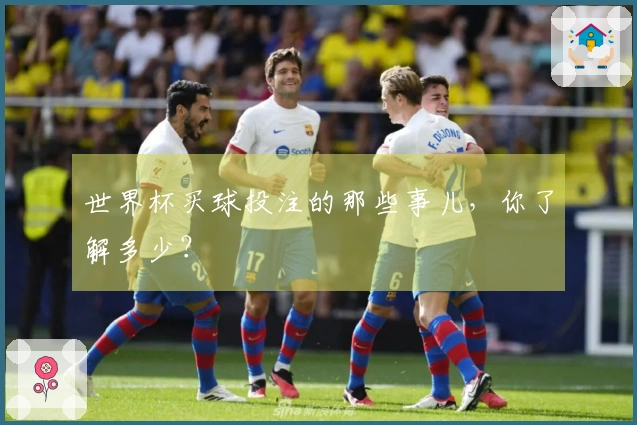 世界杯买球投注的那些事儿，你了解多少？